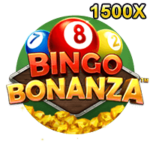 Bingo Bonanza