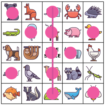 Picture Bingo​