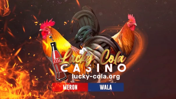 If you are a Filipino looking for Sabong online, this guide will show you why Lucky Cola Sabong is the best choice