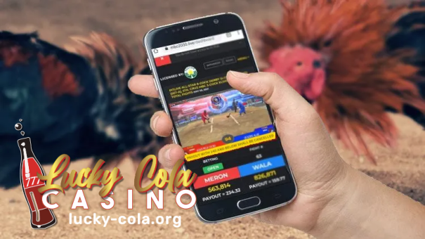 Lucky Cola online casino looking for the best cockfighting (Sabong)​